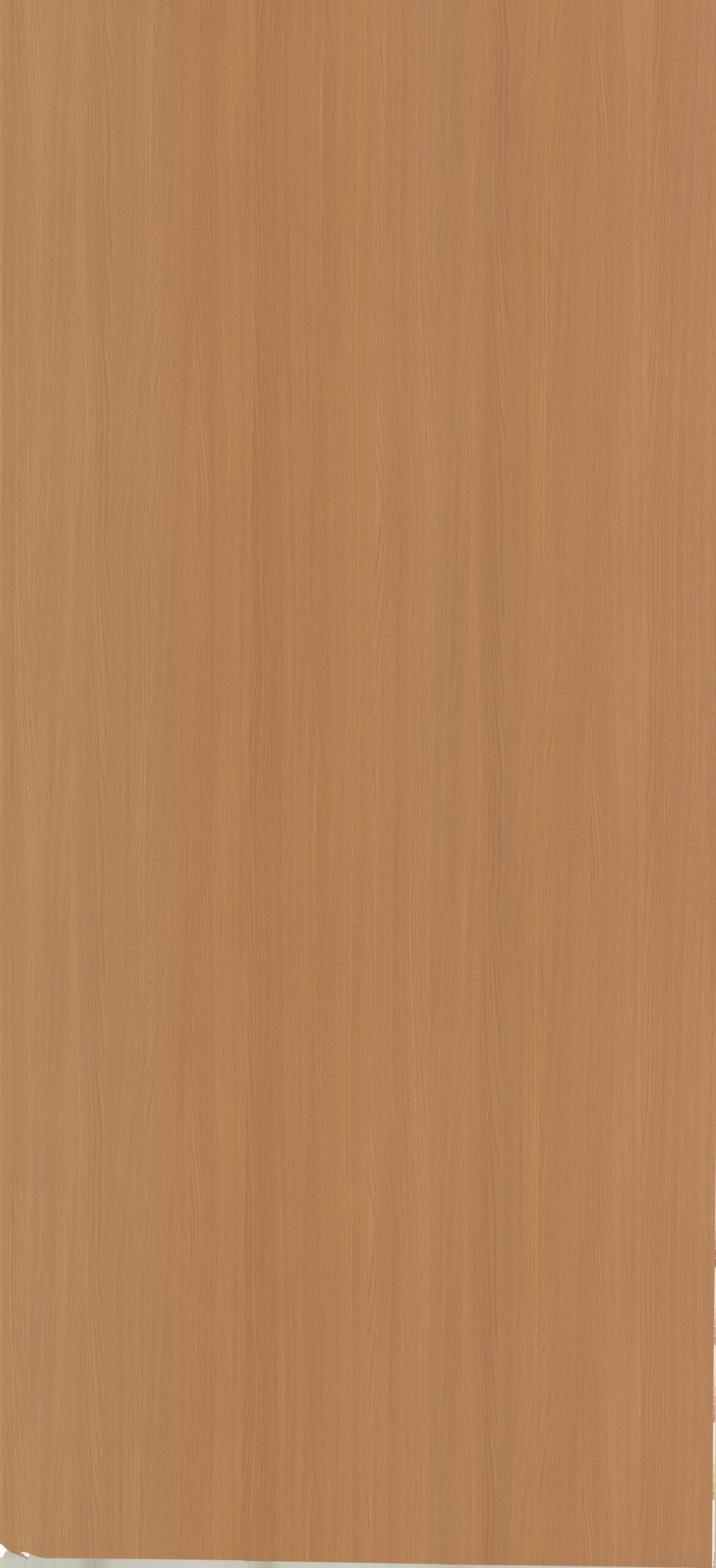 SF-31234