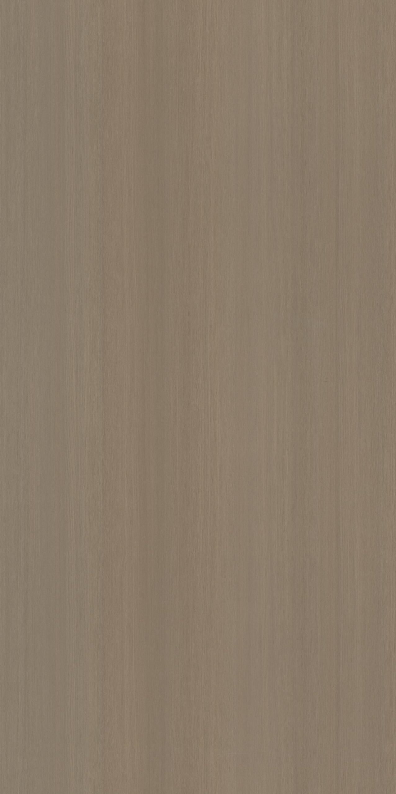 SF-31236