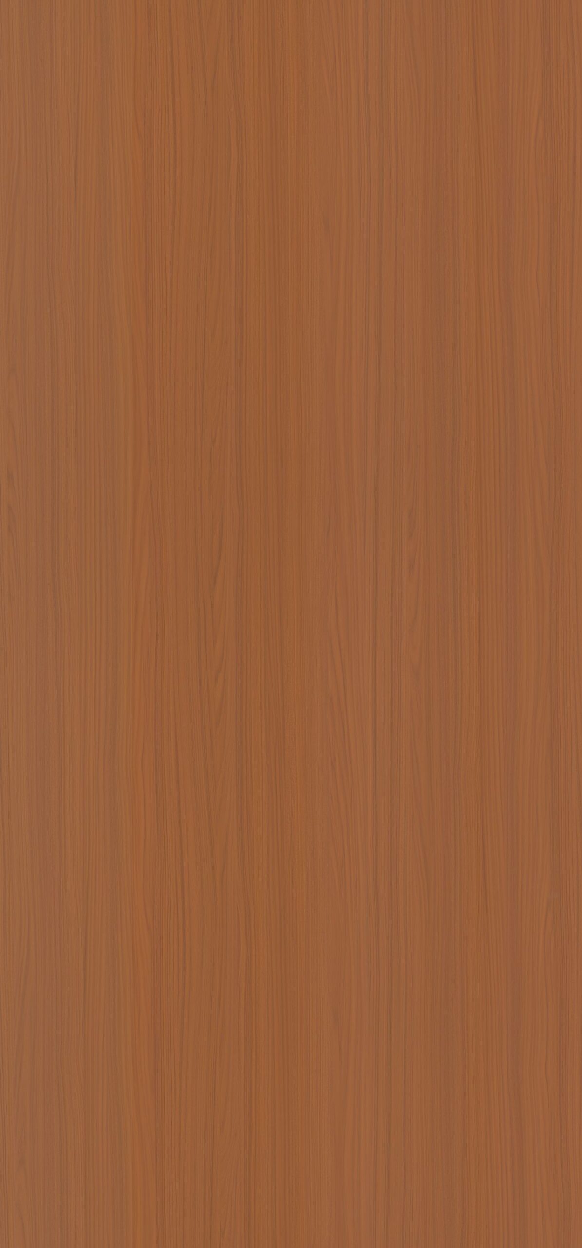 SF-31238