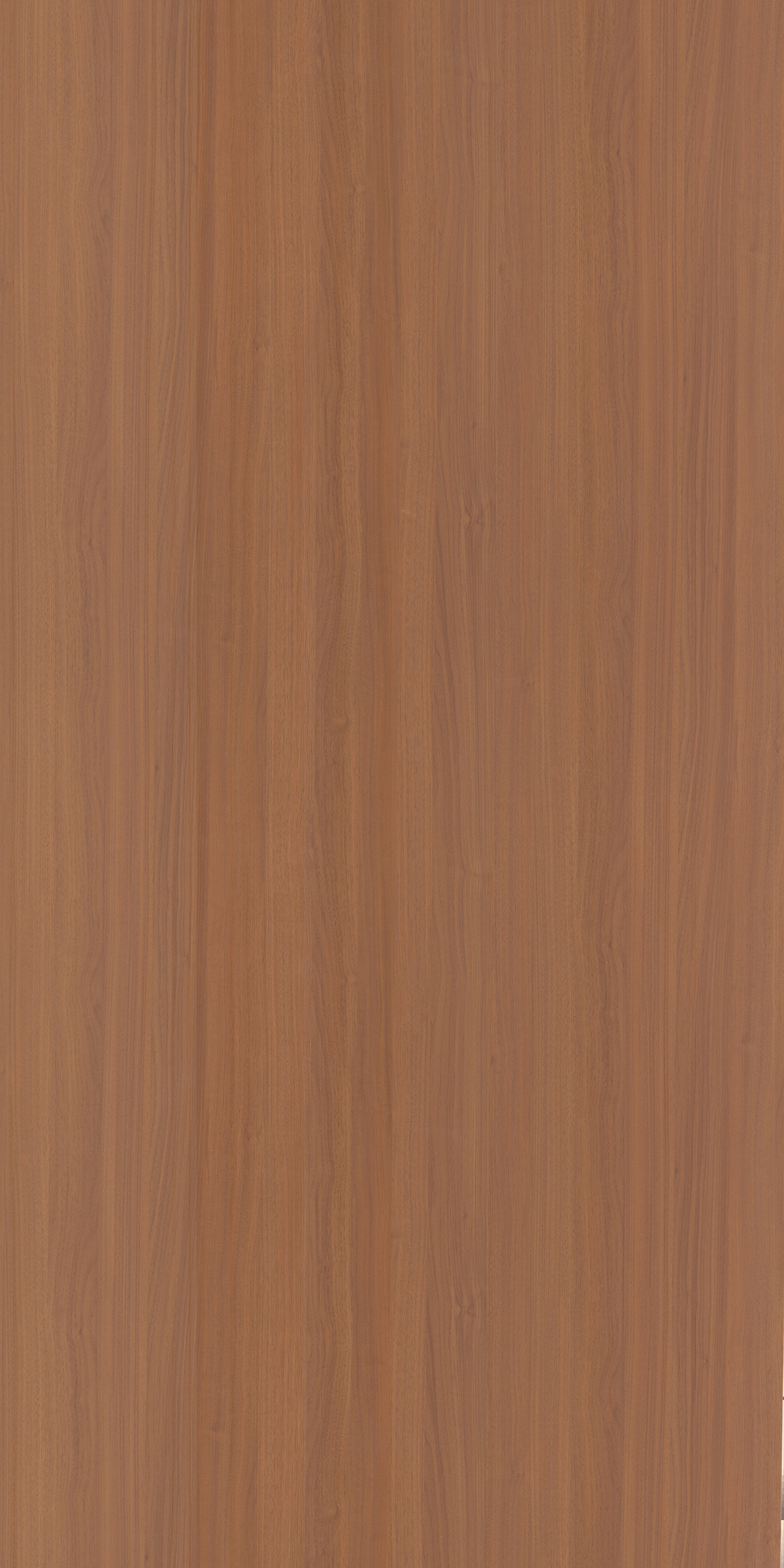 WL-56-7506