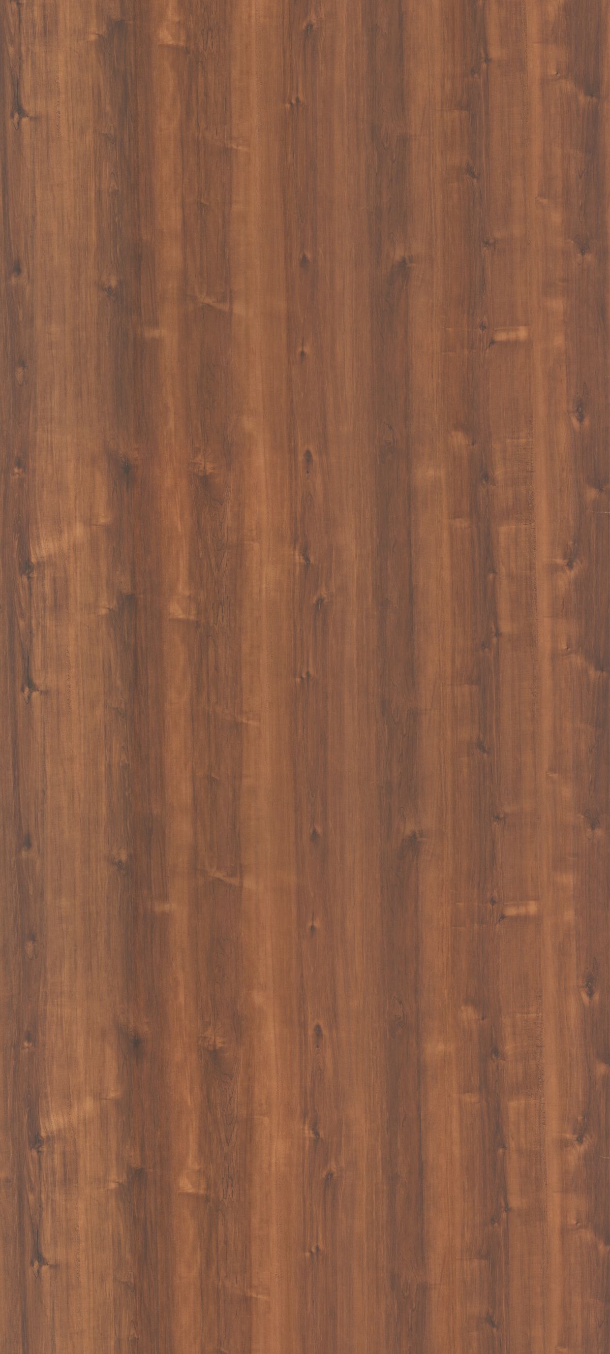 SF-8029
