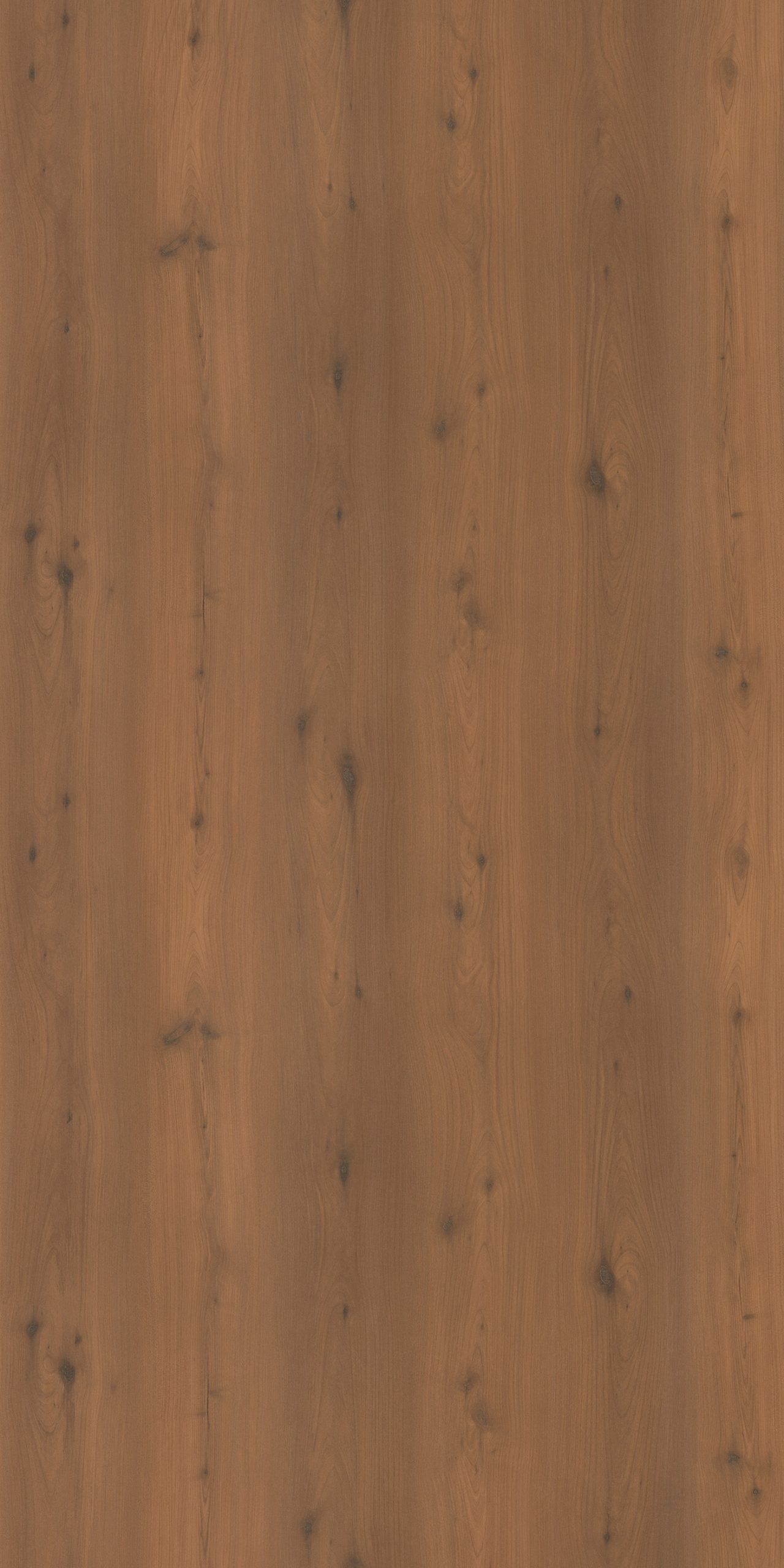 EO – 9203